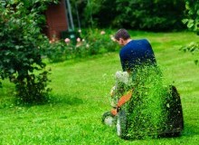 Kwikfynd Lawn Mowing
pippingarra